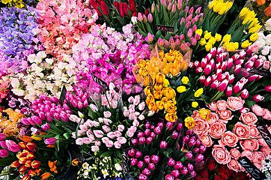 《如龙》系列不会刻意迎合年轻粉丝 仍会讲述中年男人的故事